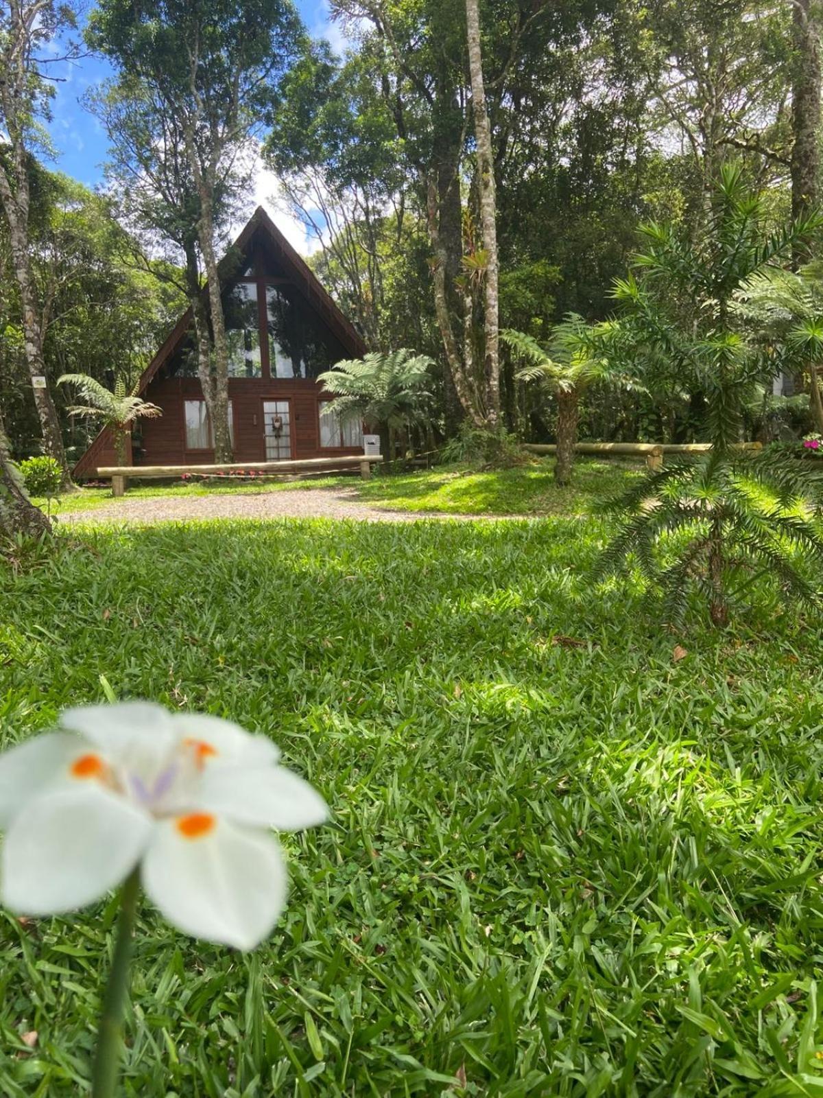 A Cabana Sao Chico Sao Francisco de Paula  Exterior photo